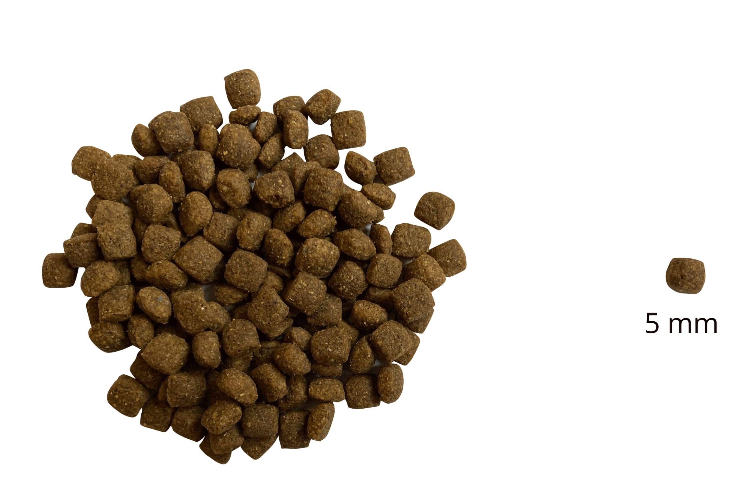 B f Put Sz zad Darling Kutyat p 10 Kg R mai T kozl s szinte